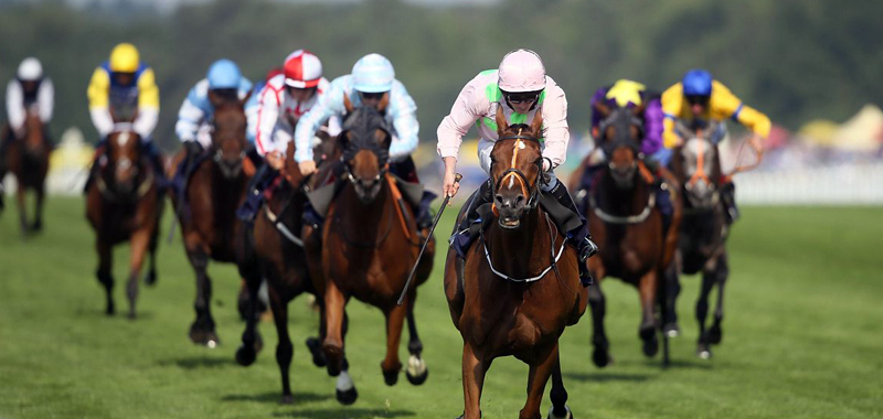 Royal Ascot Limo Hire Cheltenham | Cheltenham Royal Ascot Limo
